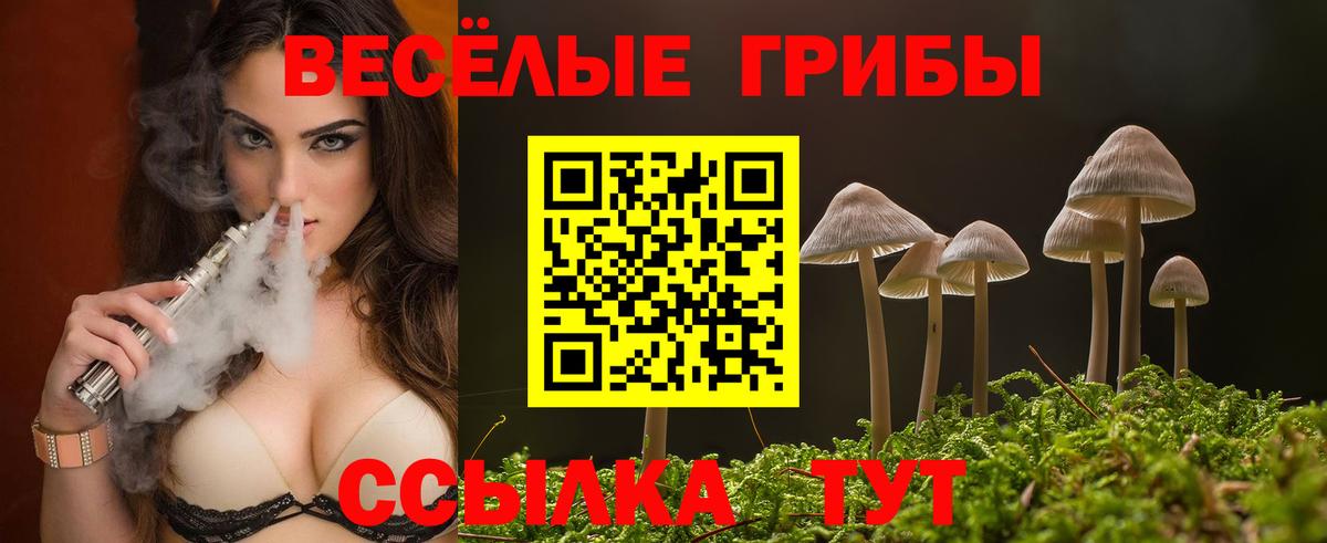 закладки  Вход с VPN  Раменское  Псилоцибиновые грибы Psilocybine cubensis  Псилоцибиновые грибы GOLDEN TEACHER 
